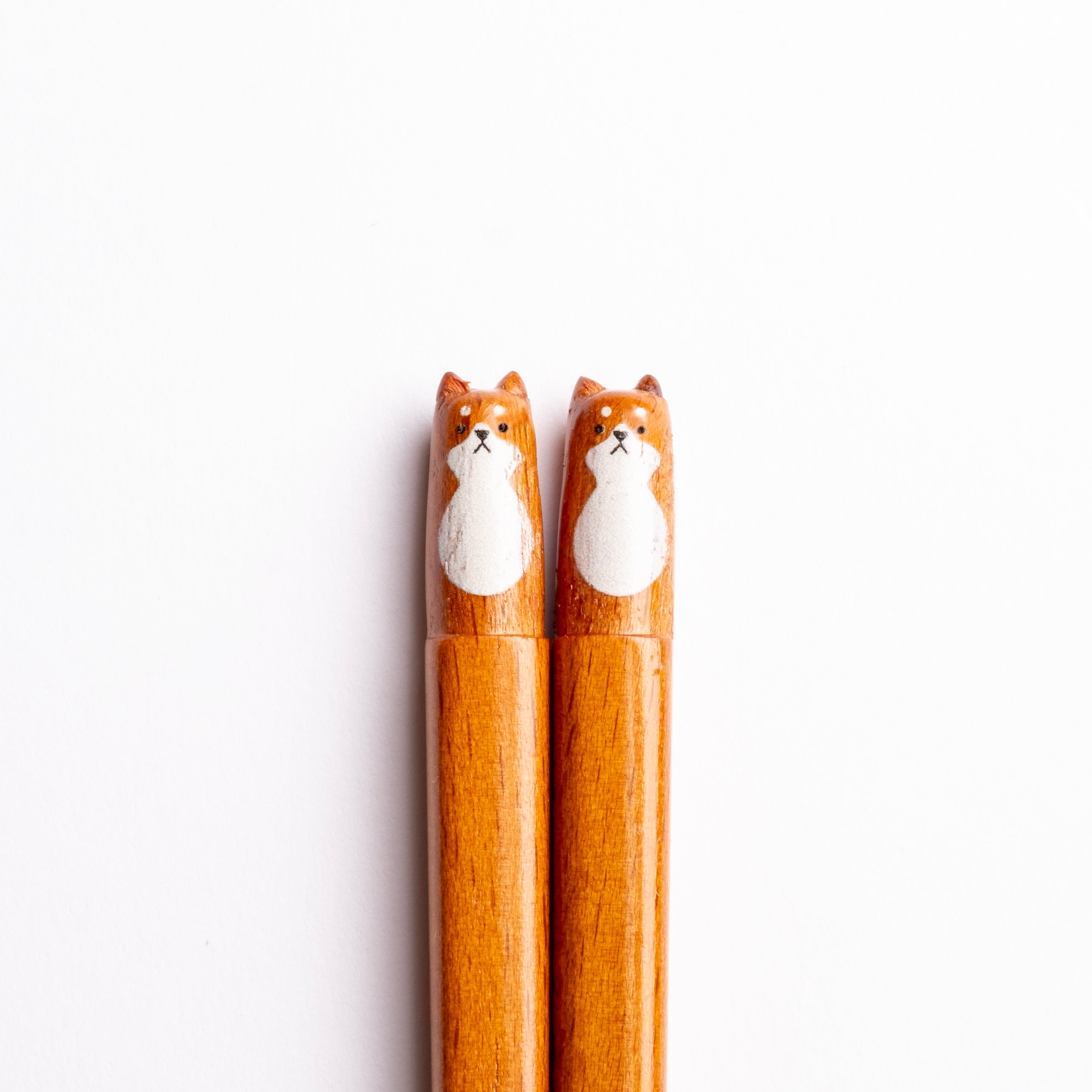 fluffy-shiba-inu-chopstick-4.jpg