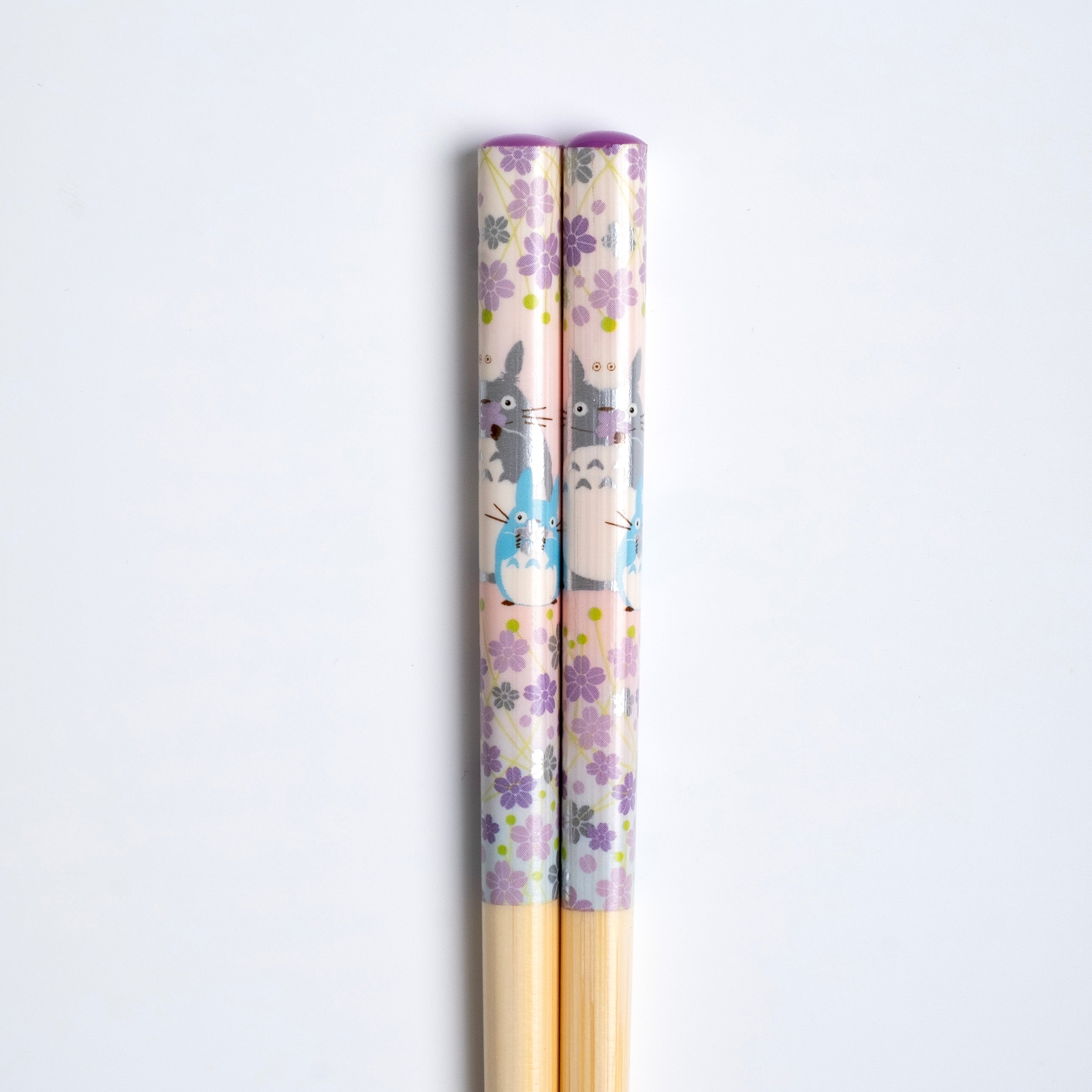ghibli-totoro-cherry-blossom-2.jpg