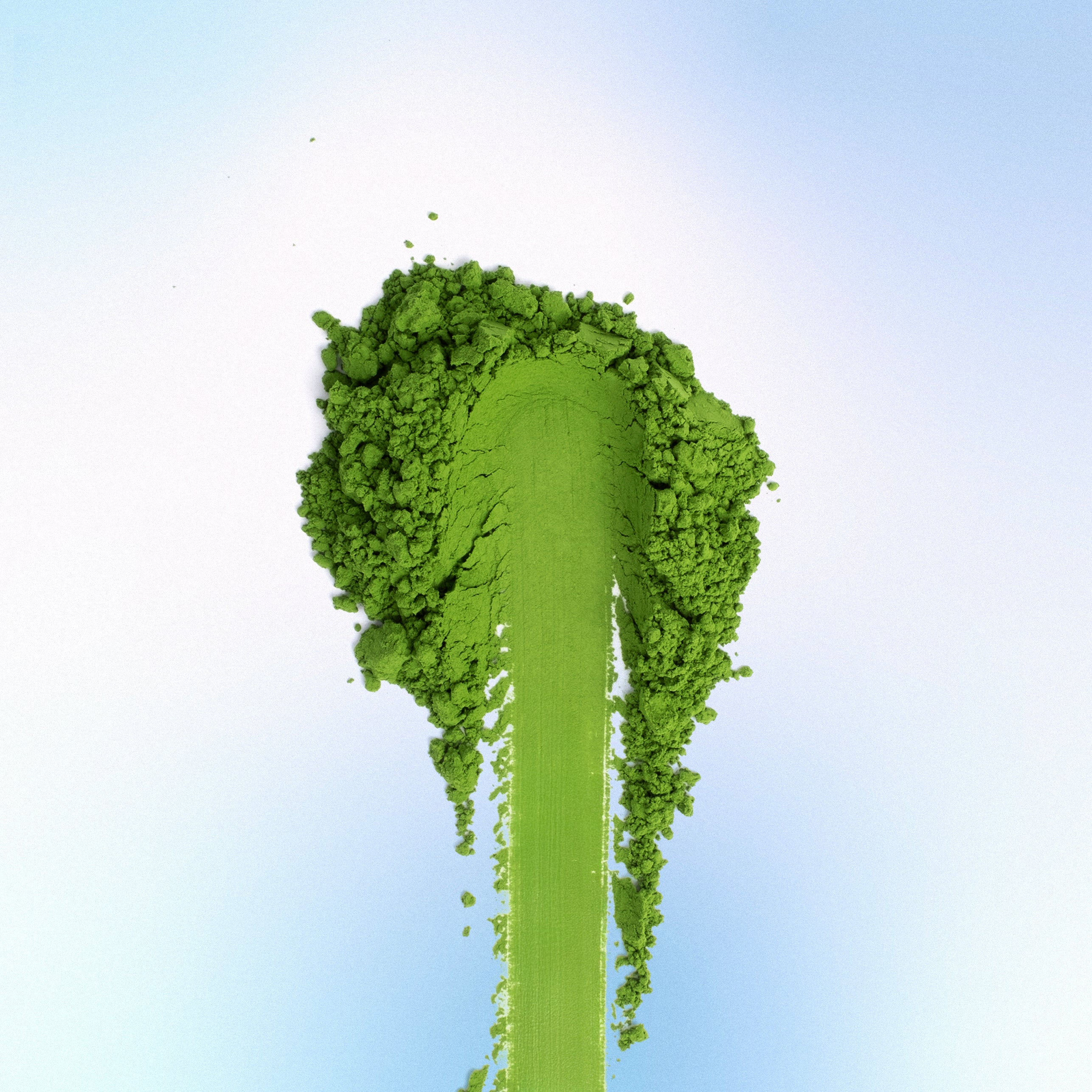 Anya Matcha - Yame Single Cultivar Asanoka 100g