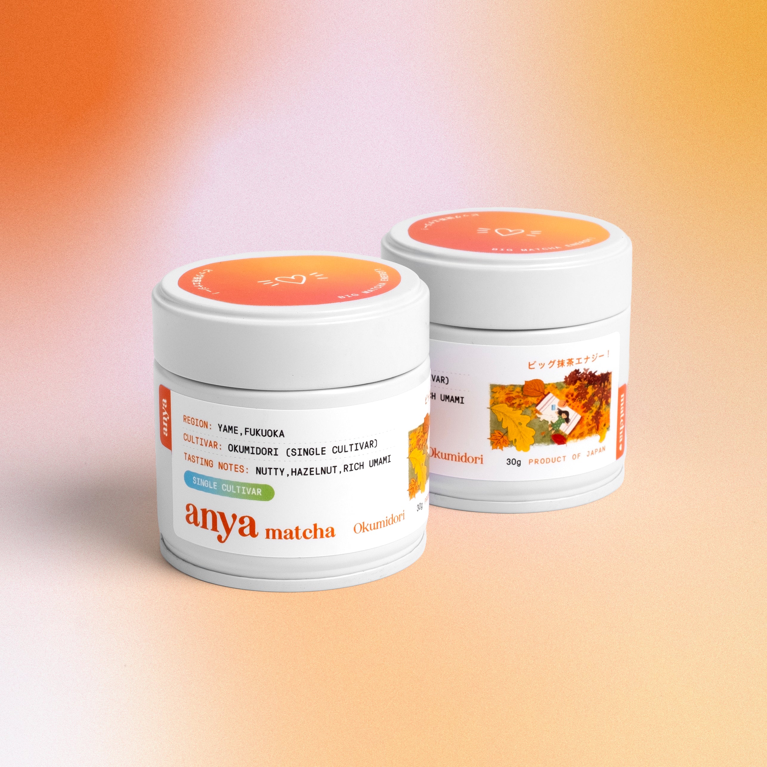 Anya Matcha - Yame Single Cultivar Okumidori 30g
