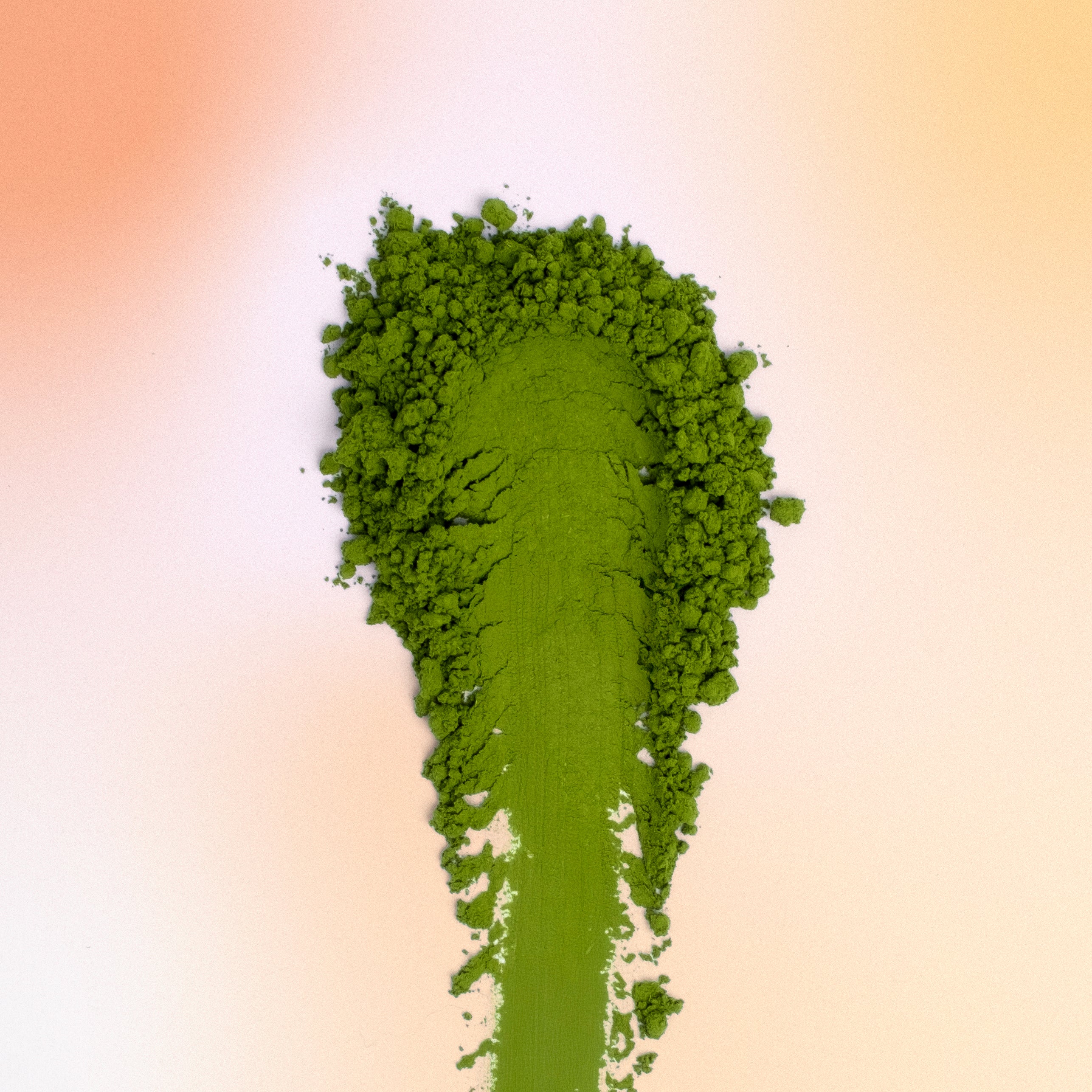 Anya Matcha - Yame Single Cultivar Okumidori 30g