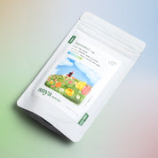 Anya Matcha - Yame Single Cultivar Saemidori 100g