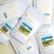 Anya Matcha - Yame Single Cultivar Tsuyuhikari 100g