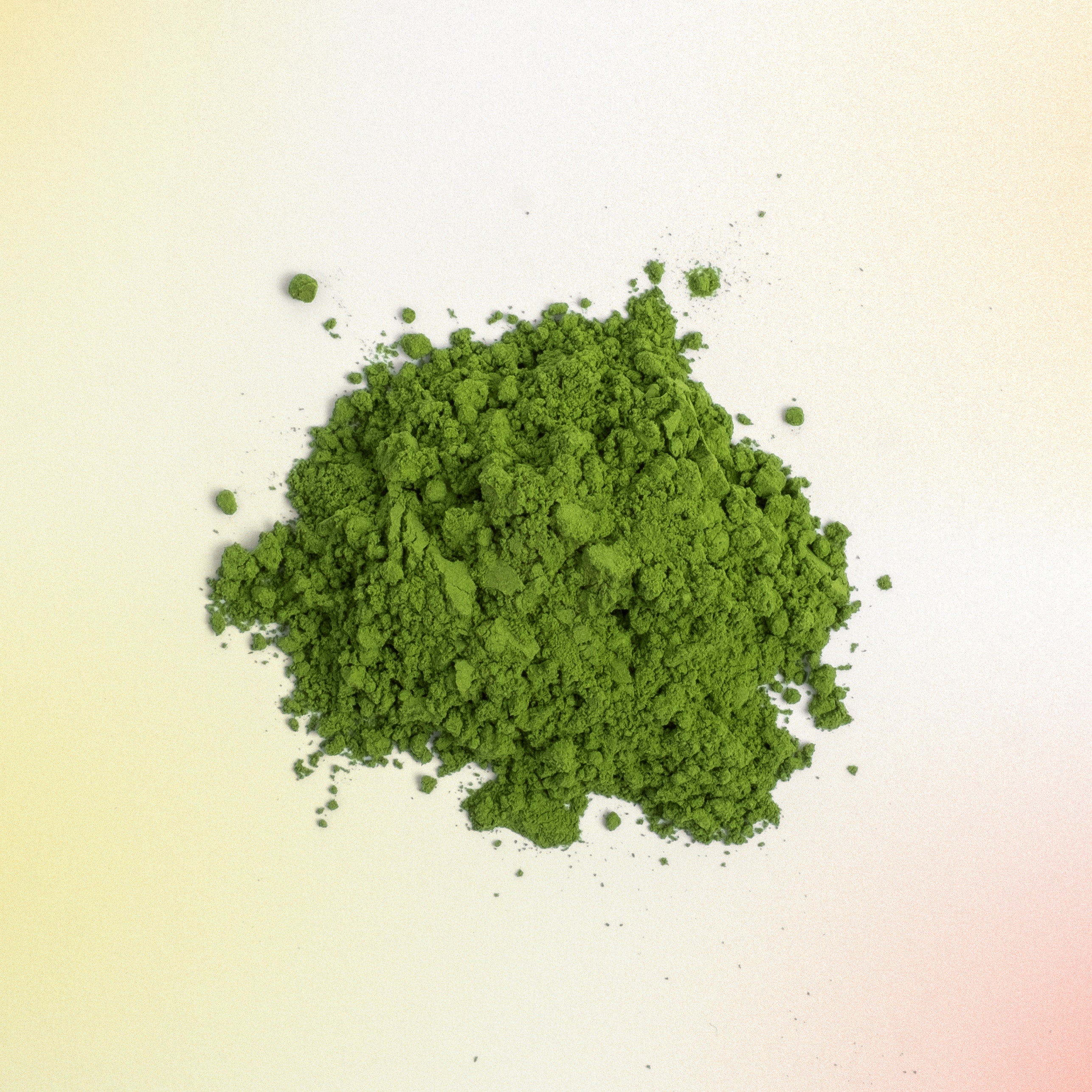 Anya Matcha - Yame Single Cultivar Tsuyuhikari 30g