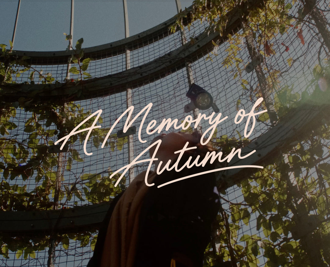 memory-of-autumn.jpg