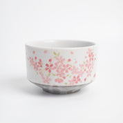 Matcha Bowl - Sakura Hanami